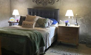 Se vende atractiva y amplia granja de arándanos orgánicos