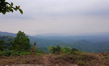 LOT OVERLOOKING TAAL VIEW FOR SALE PERFECT LOCATION FOR INVESTMENT