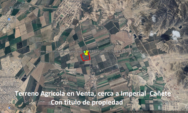 VENDO TERRENO AGRICOLA 3.2018 HA, MANZANA EN PRODUCCION - NUEVO IMPERIAL CAÑETE
