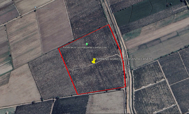 VENDO TERRENO AGRICOLA 3.2018 HA, MANZANA EN PRODUCCION - NUEVO IMPERIAL CAÑETE