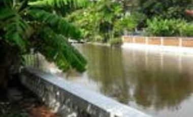 For Rent Single house 525 square meters, Bang Phli
