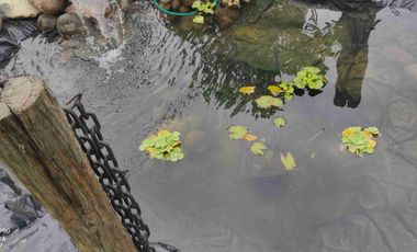 Casa de Venta con 1000 m2 de terreno