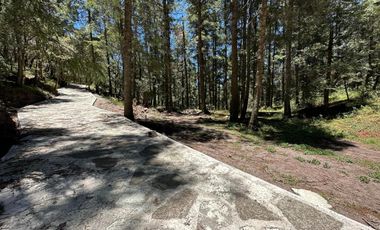 Tu Refugio en el Bosque: Invierte en Tranquilidad y Naturaleza