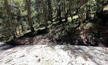 Tu Refugio en el Bosque: Invierte en Tranquilidad y Naturaleza