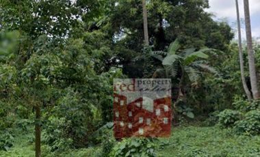 Agricultural Property For Sale at San Jose Batangas