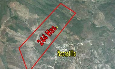 Terreno en Venta en La Huerta.		$9,500,000