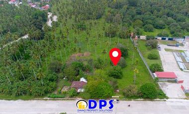 For Sale 7.7 hectares Vacant Lot in Bunawan Davao City, along cemented Road