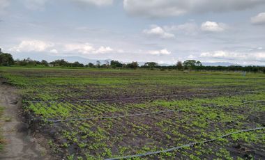 VENTA LOTE LA HERRADURA