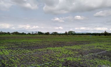 VENTA LOTE LA HERRADURA