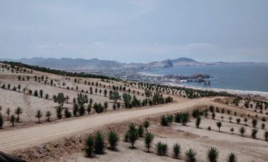 LOTES EN CONDOMINIO MAR Y BOSQUES