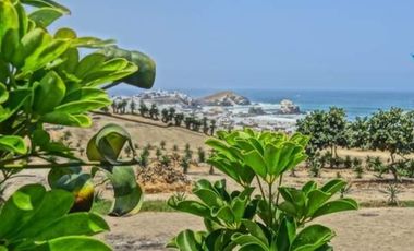 LOTES EN CONDOMINIO MAR Y BOSQUES