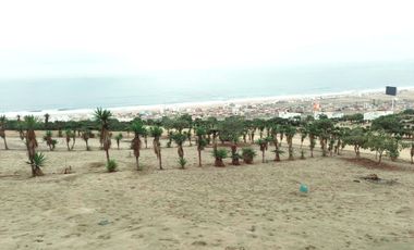 LOTES EN CONDOMINIO MAR Y BOSQUES