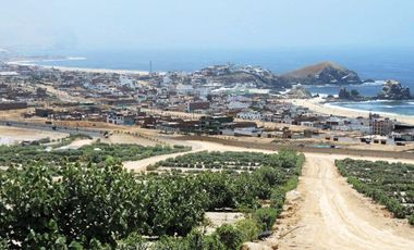 LOTES EN CONDOMINIO MAR Y BOSQUES
