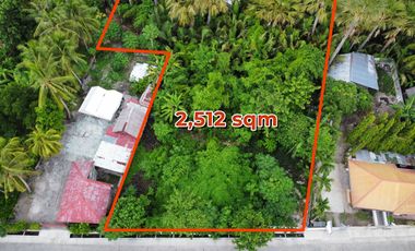 2,512 sqm Residential Lot in Cangmating Sibulan