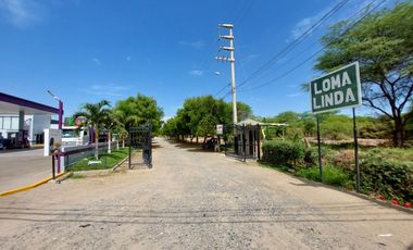 ID 1036185 Lote en Venta 1000 m² Loma Linda 1 Precio de Ocasión $138 Mil Dólares (HFLORES)