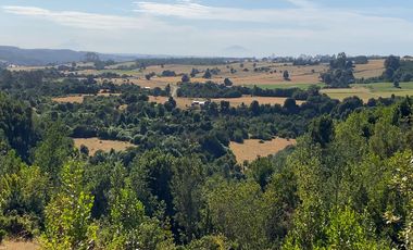 Campo en venta en Los Muermos a 55 minutos de Puerto Varas con abundante agua
