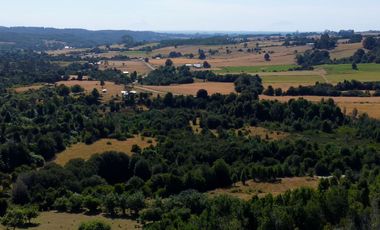 Campo en venta en Los Muermos a 55 minutos de Puerto Varas con abundante agua