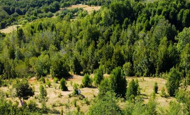 Campo en venta en Los Muermos a 55 minutos de Puerto Varas con abundante agua
