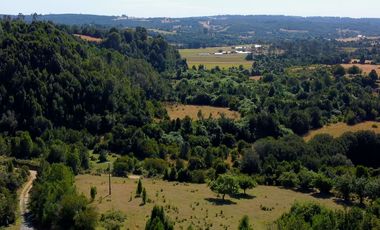 Campo en venta en Los Muermos a 55 minutos de Puerto Varas con abundante agua