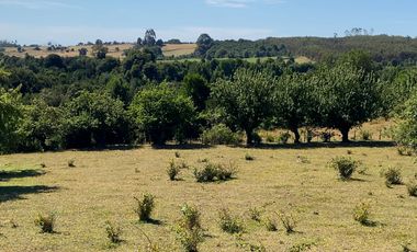 Campo en venta en Los Muermos a 55 minutos de Puerto Varas con abundante agua