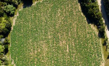 Campo en venta en Los Muermos a 55 minutos de Puerto Varas con abundante agua