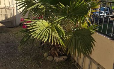 RENTA 4Rec 1 Estudio AMUEBLADA,3.5B UABC, CICESE, UNAM, Marina coral