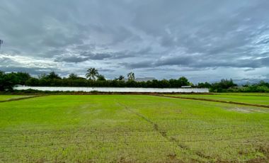 Beautiful large plot of land for investment