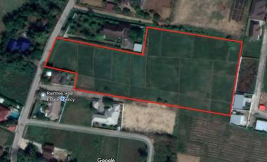Beautiful large plot of land for investment