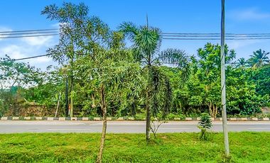 Tanah Dijual ±120.000 m2 di Kota Palembang Dekat Bandara Sultan Mahmud Badaruddin II