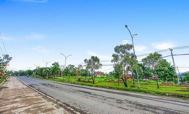Tanah Dijual ±120.000 m2 di Kota Palembang Dekat Bandara Sultan Mahmud Badaruddin II