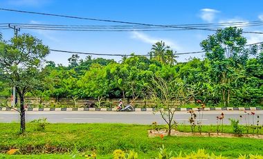Tanah Dijual ±120.000 m2 di Kota Palembang Dekat Bandara Sultan Mahmud Badaruddin II