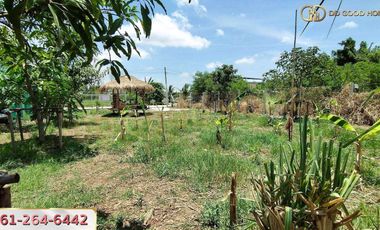 📢Empty land, 136 sq m., Naraphirom Subdistrict, Bang Len District