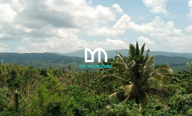 Land for sale in Rizal, Tanay