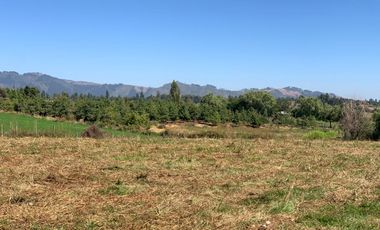 Se vende parcela 7.300 m2 sector Los Montes San Clemente
