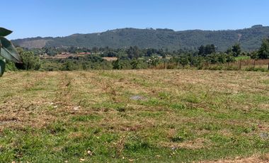 Se vende parcela 7.300 m2 sector Los Montes San Clemente