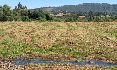 Se vende parcela 7.300 m2 sector Los Montes San Clemente