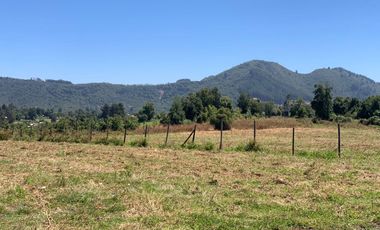 Se vende parcela 7.300 m2 sector Los Montes San Clemente