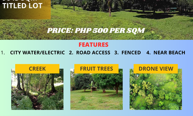 Titled Lot For Sale by Owner in Puerto Princesa City, Palawan Philippines-9843sqm