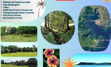 9843sqm Titled Lot For Sale by Owner in Puerto Princesa City, Palawan Philippines