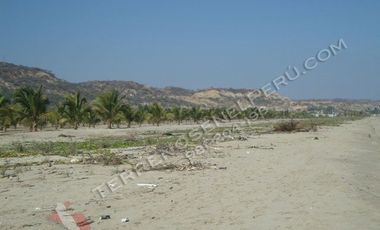 20 hectareas de Pura Playa Virgen, Terreno en Playa Hermosa-Tumbes