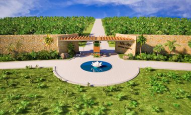 Lotes eco-turisticos