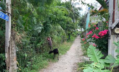 CHEAP HOUSE AND LOT FOR SALE ID 14782