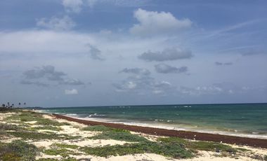 Terreno en venta en Mahahual