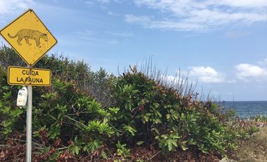 Terreno en venta en Mahahual