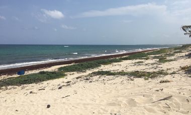 Terreno en venta en Mahahual