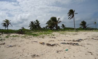 Terreno en venta en Mahahual