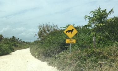 Terreno en venta en Mahahual