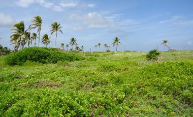 Terreno en venta en Mahahual