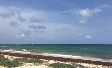 Terreno en venta en Mahahual