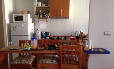 Departamento En Venta En Pucón, V 1094-127-LR-11.22